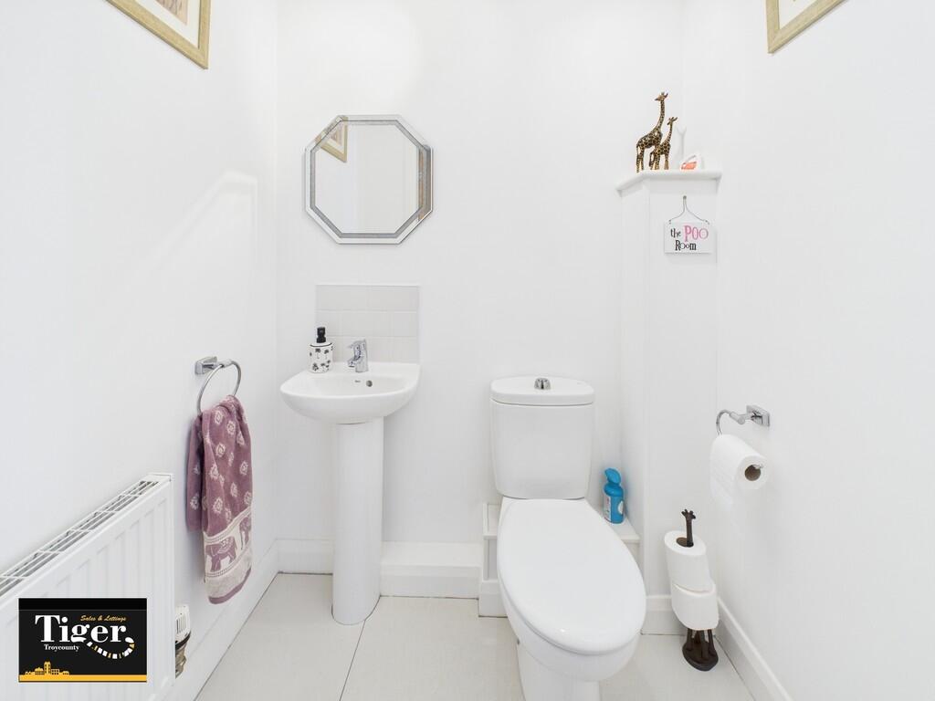 CAM02176G0-PR0538...