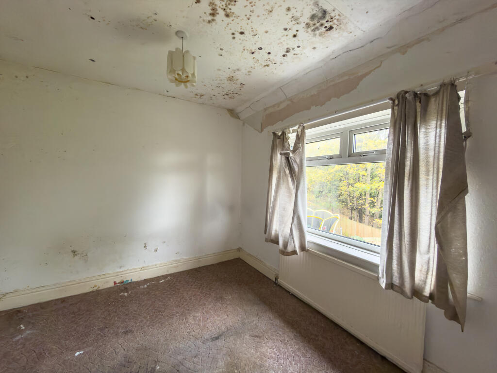 IMG 7066 4 T202511050959.jpg