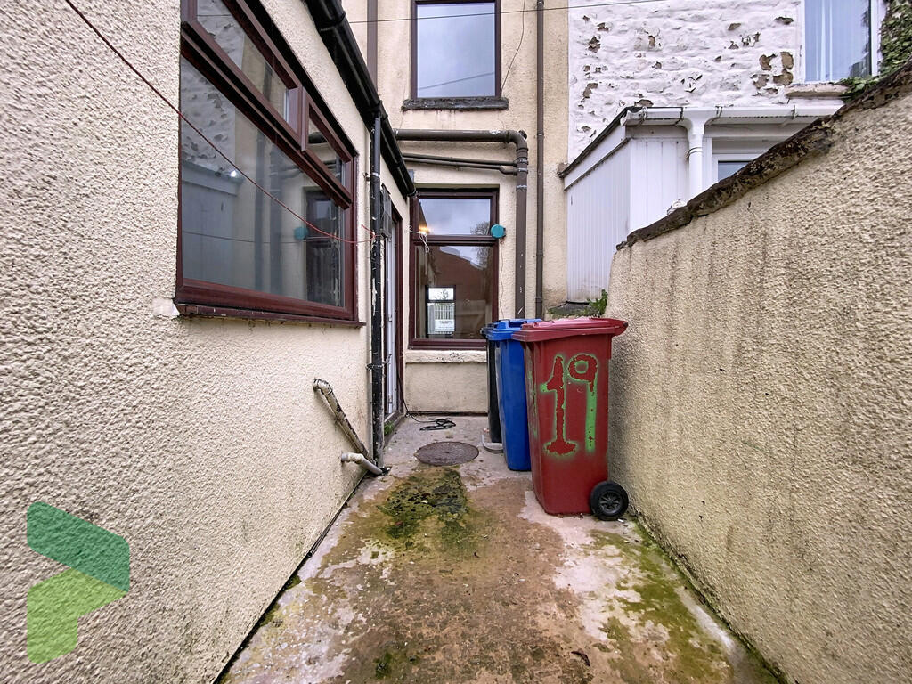 Rear Yard