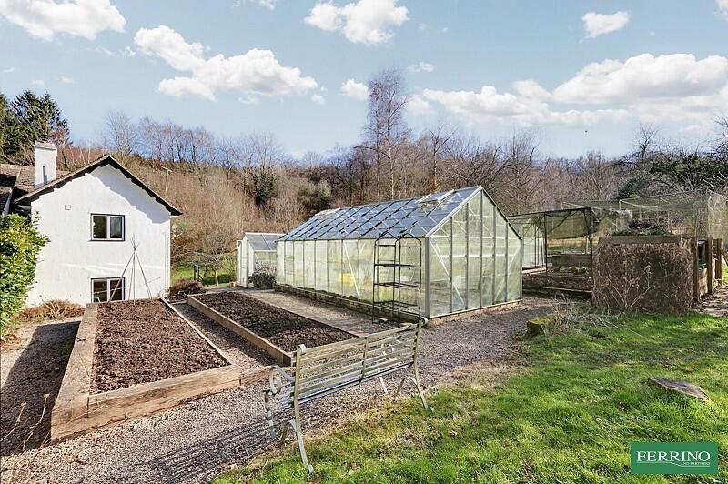 Vegetable Garden