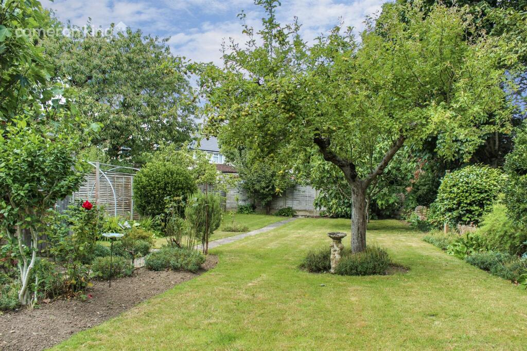 Rear Garden.jpg