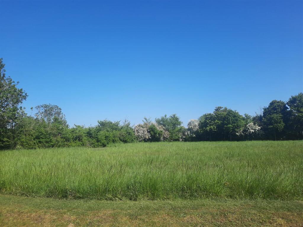 Surrounding Areas