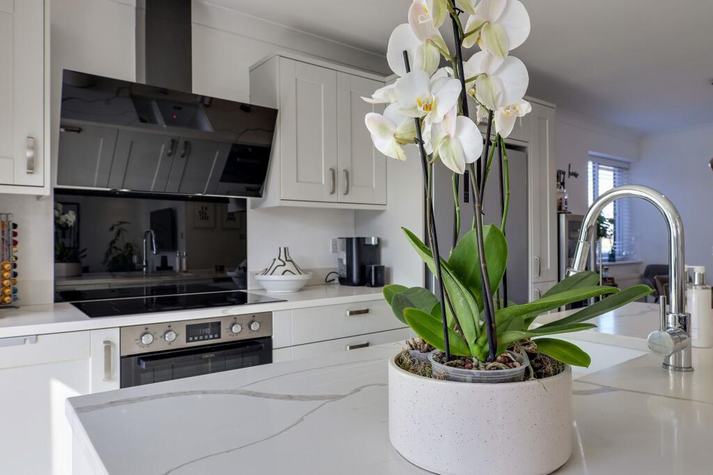 Open Plan Lounge/Kitchen/Dining Room