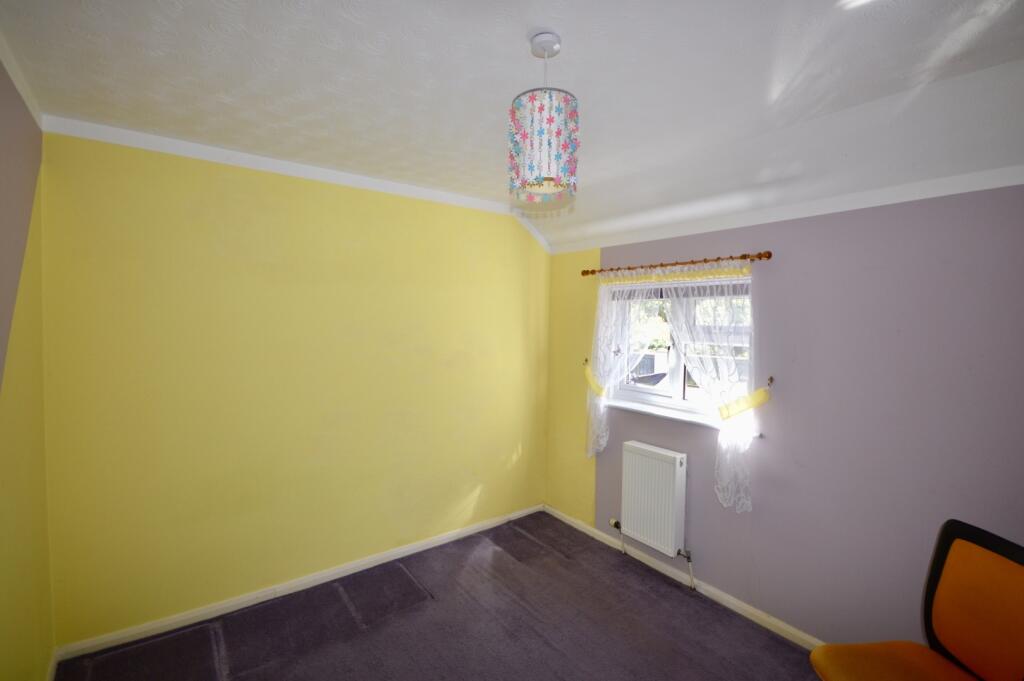 IMAGE 5