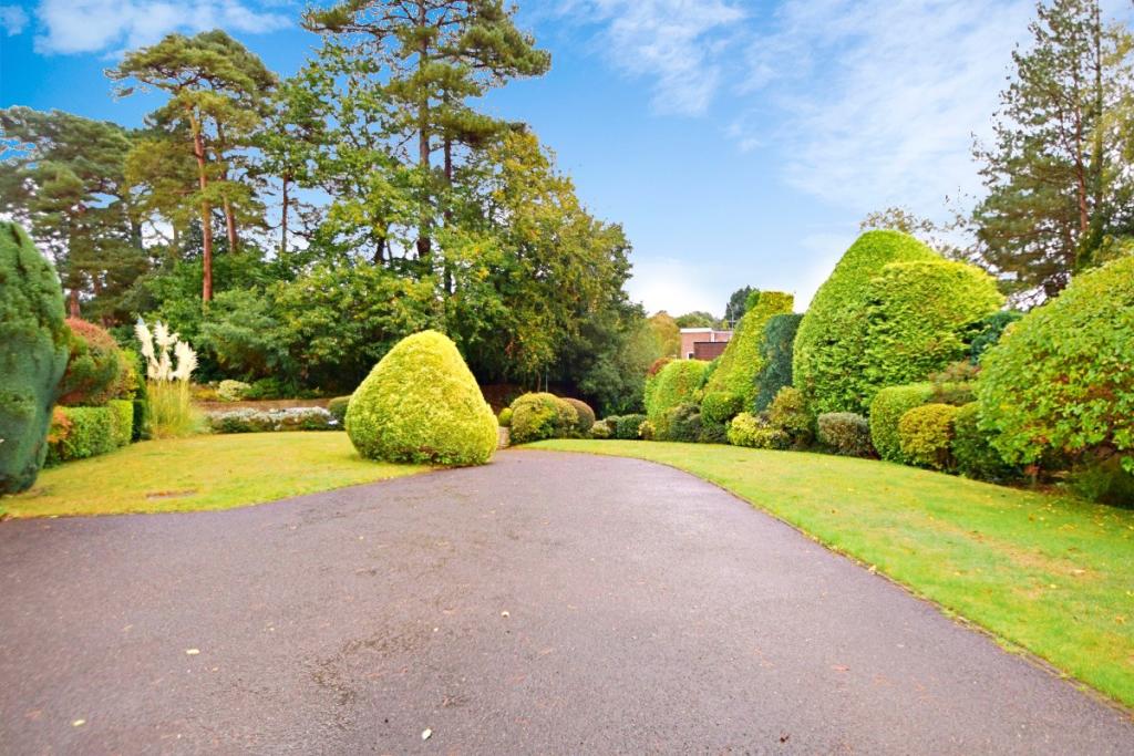 Driveway