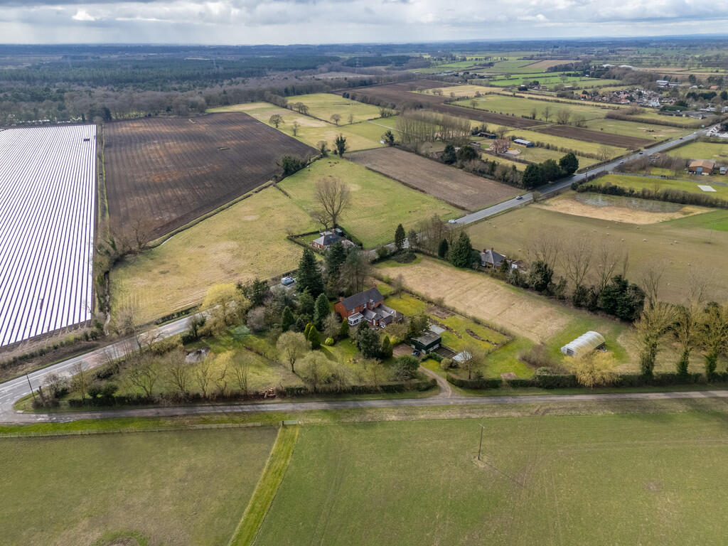beechwood-3