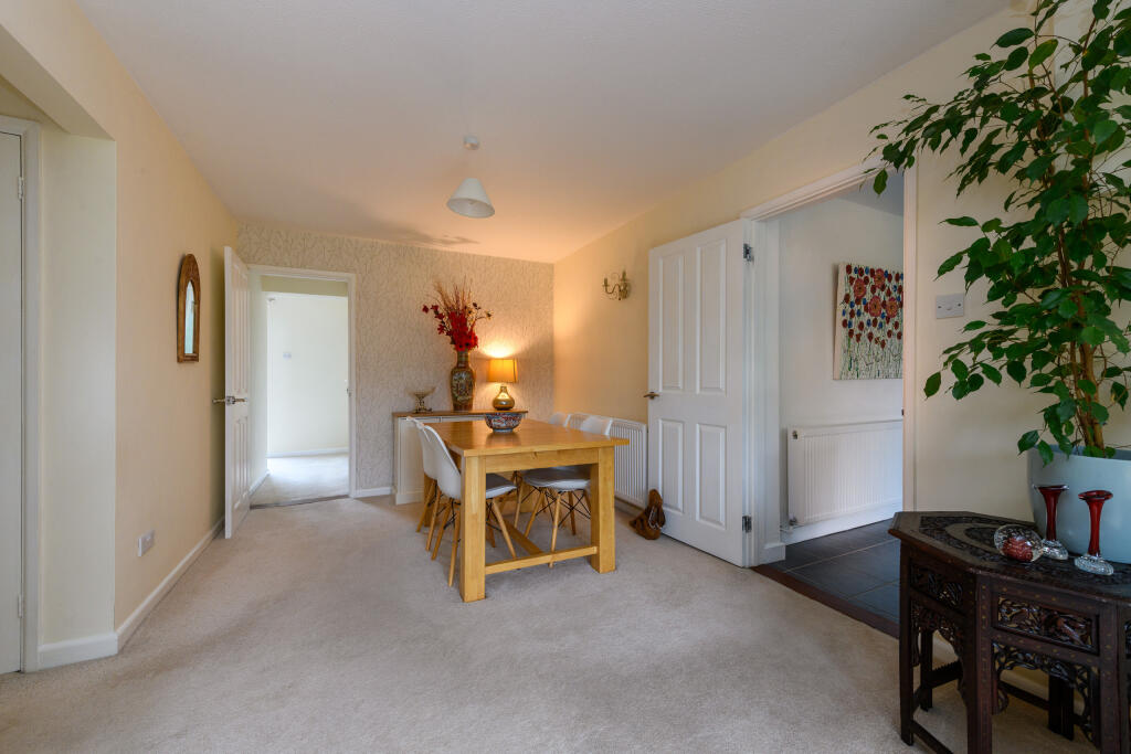 TEK HiRes 250324 048