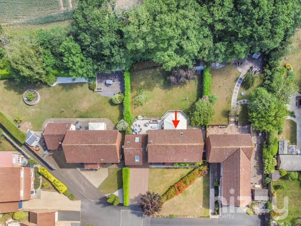 DJI_0460.jpg