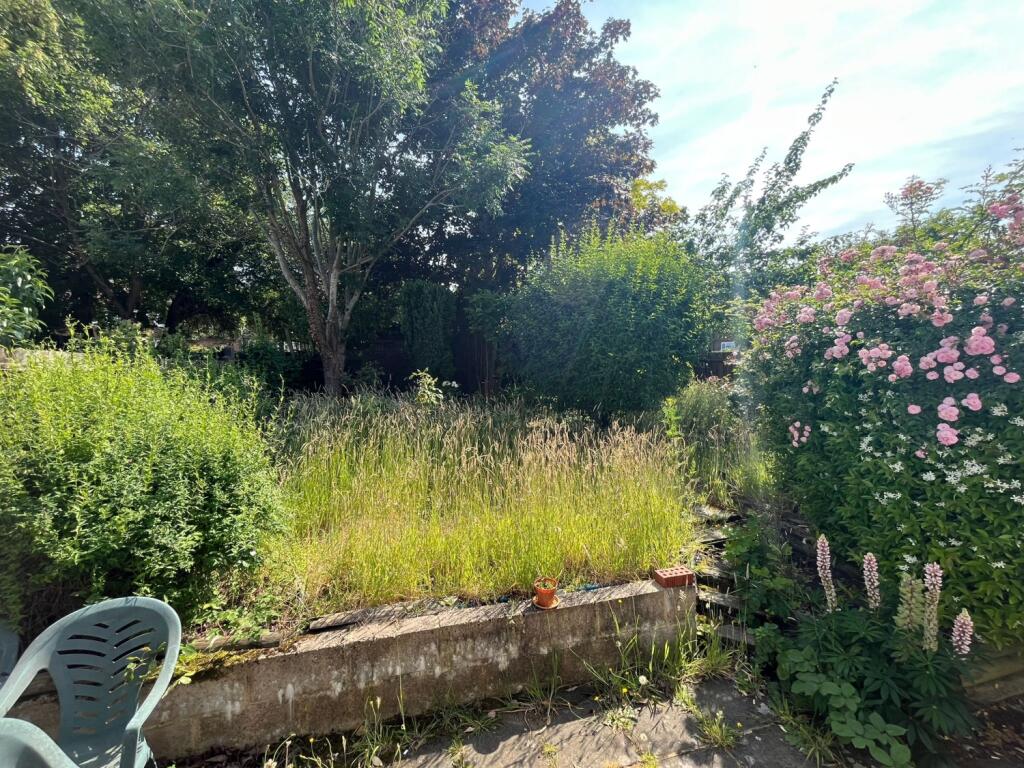 11Garden