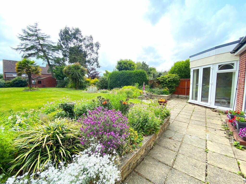 Patio and garden