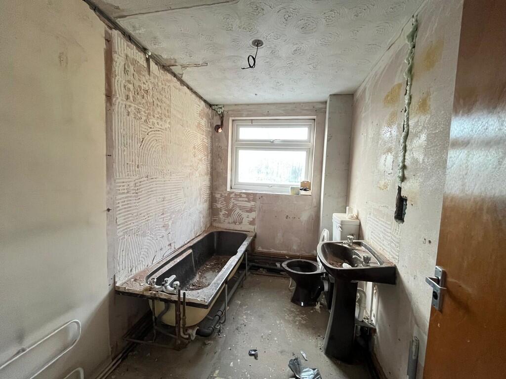 WhatsApp Image 20...