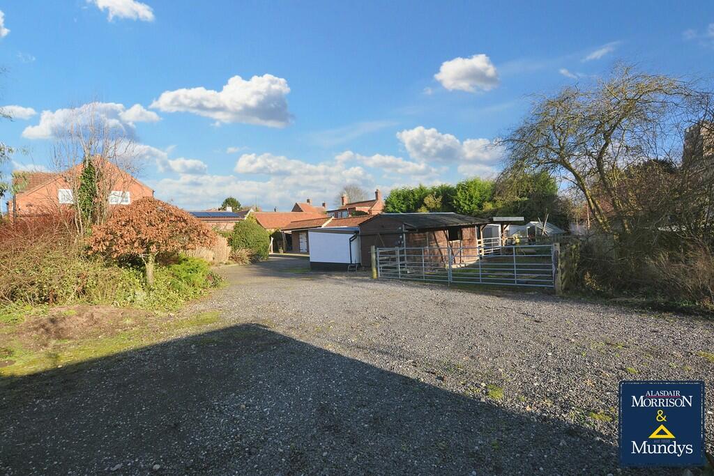 Winter Turn Out a...