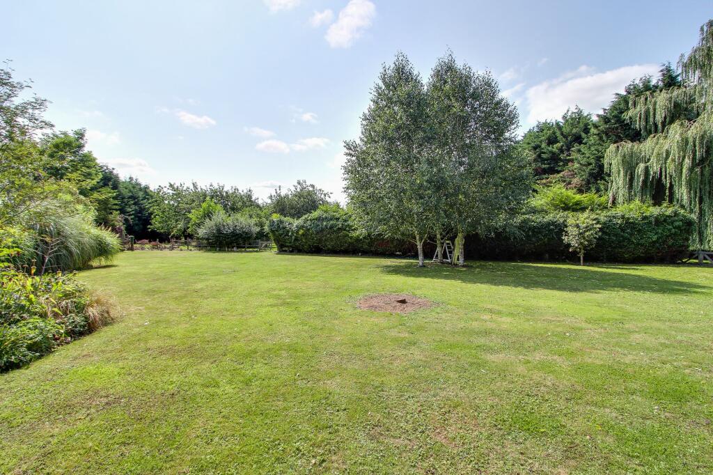 Orchard &amp; Open Grassed Area