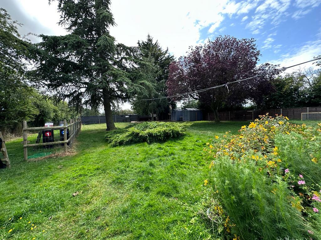 Garden 3