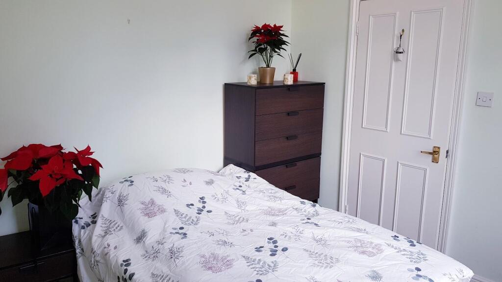 20201210_155719.jpg