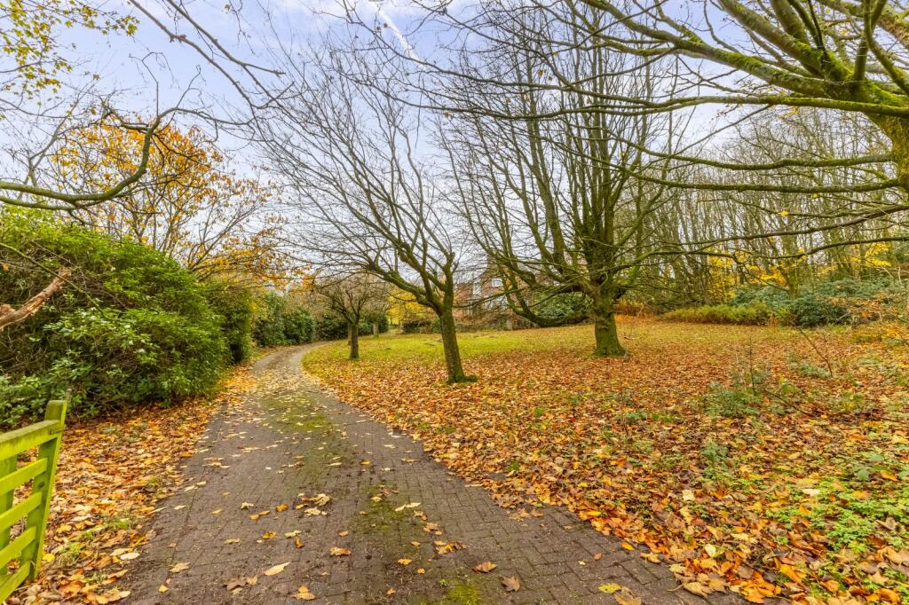 Driveway