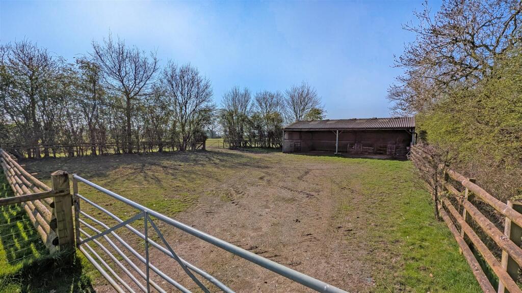 PXL_20250403_095635207 copy 1.jpg