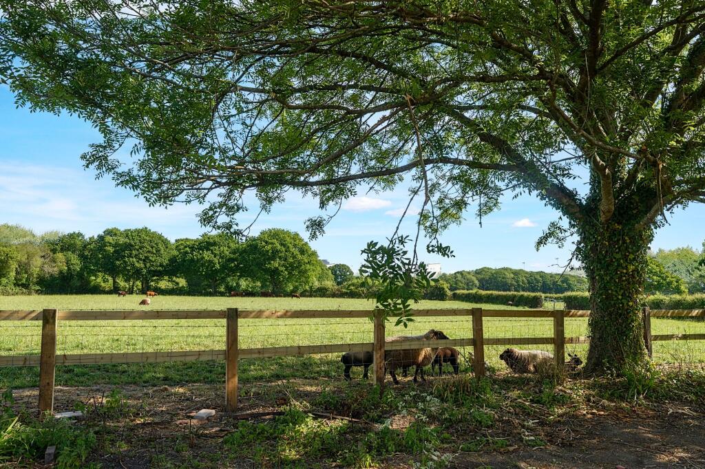 Adjacent Field