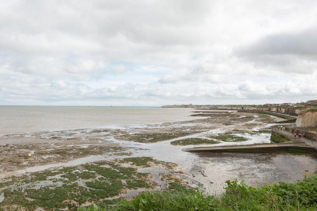 general 25 Carmel Co