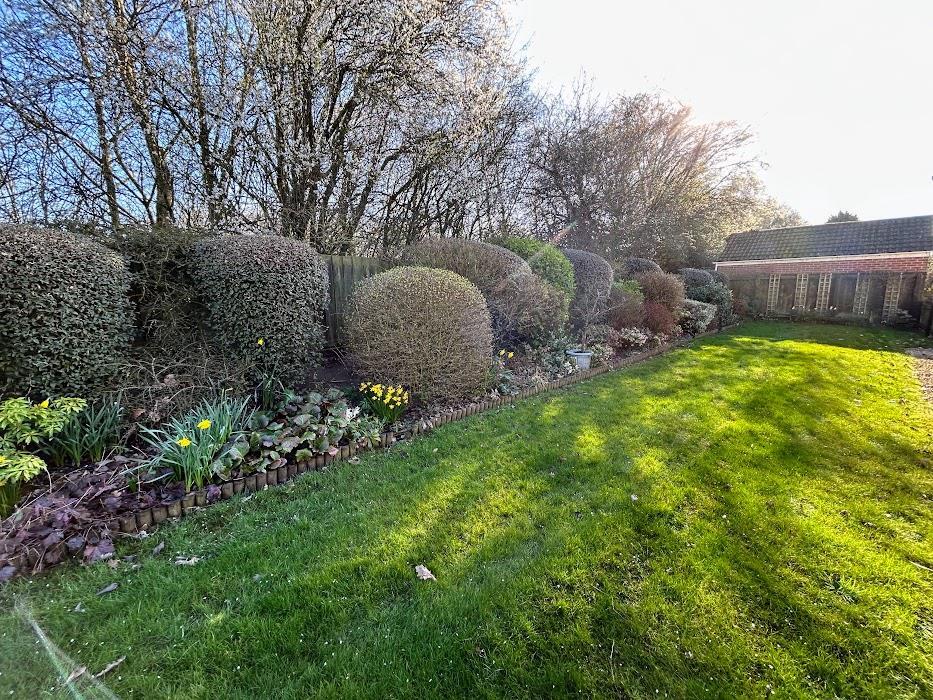 SIDE GARDEN