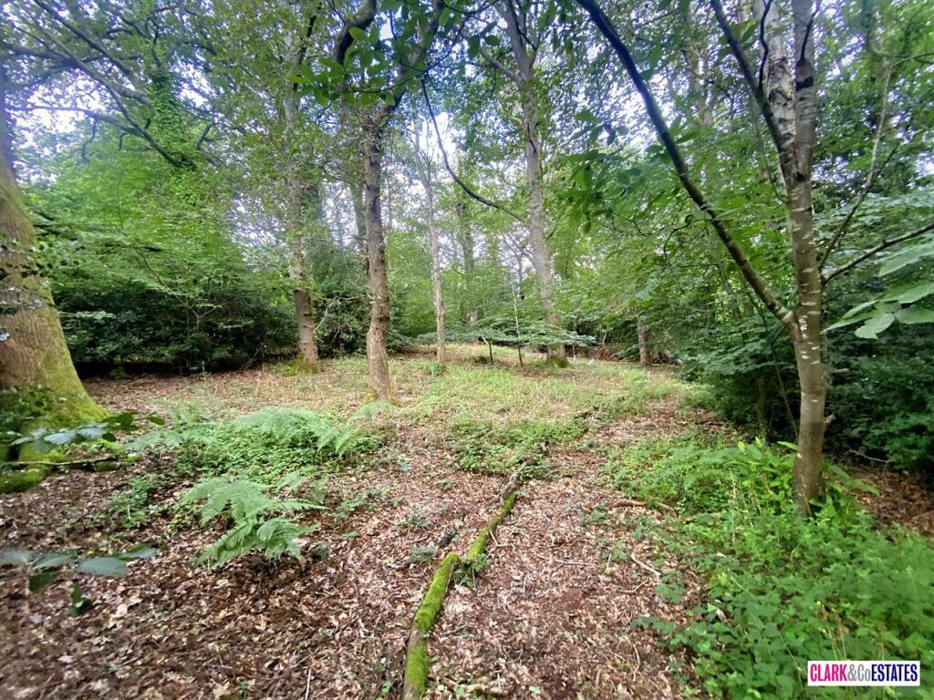 Woodland