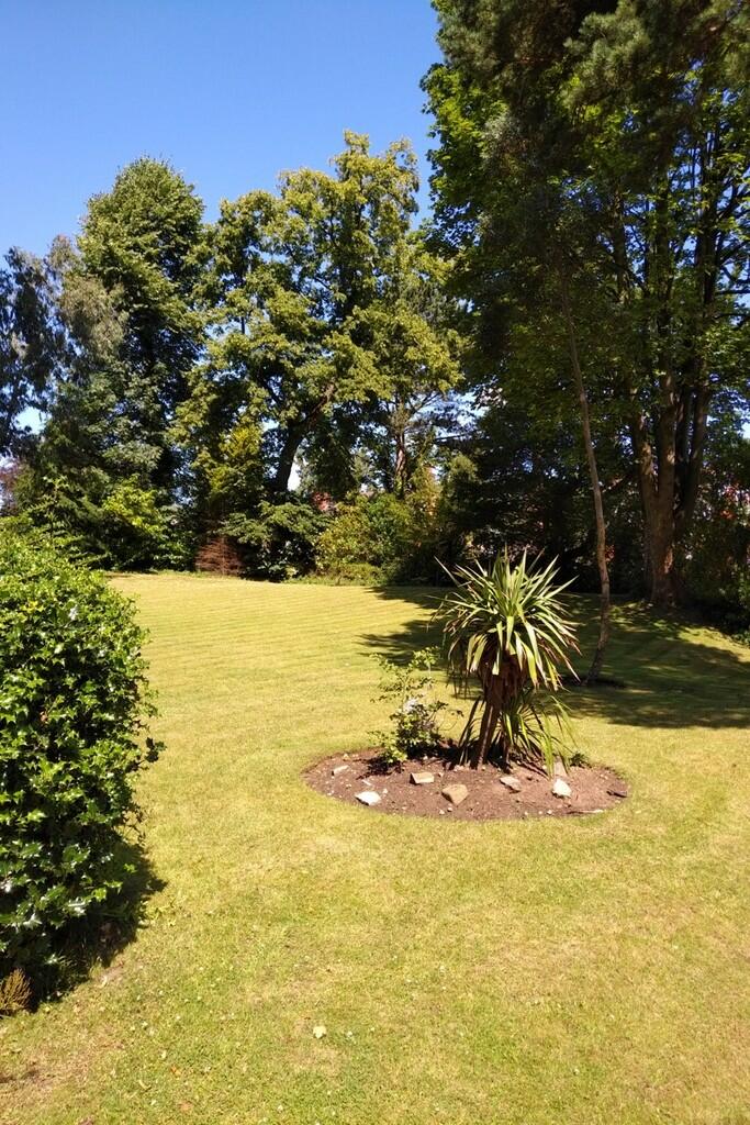 Grounds