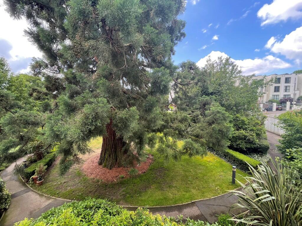 View from Balcony