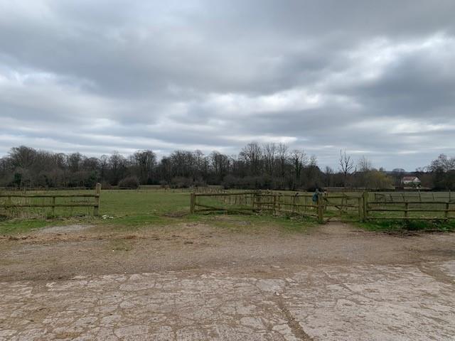 Equestrain Land Please see summary