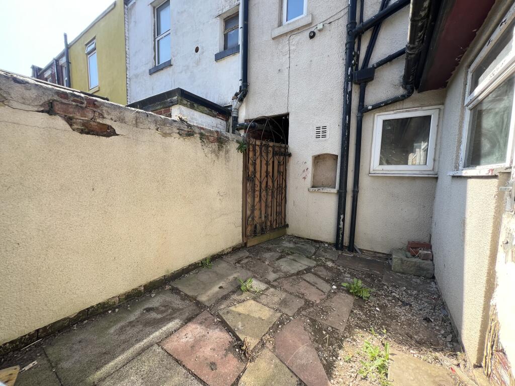 Rear Yard T202504151003.jpg