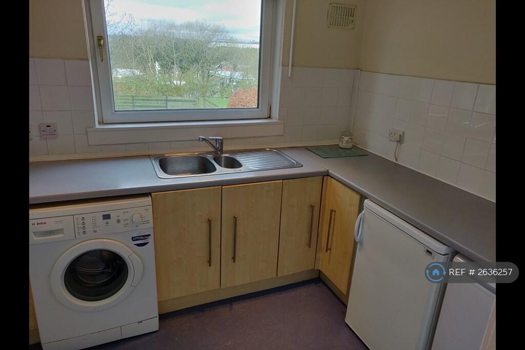 Kitchen - Fridge, Freezer, Storage