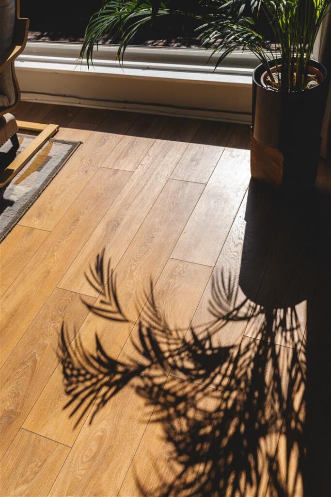 Halidon Close-15.jpg