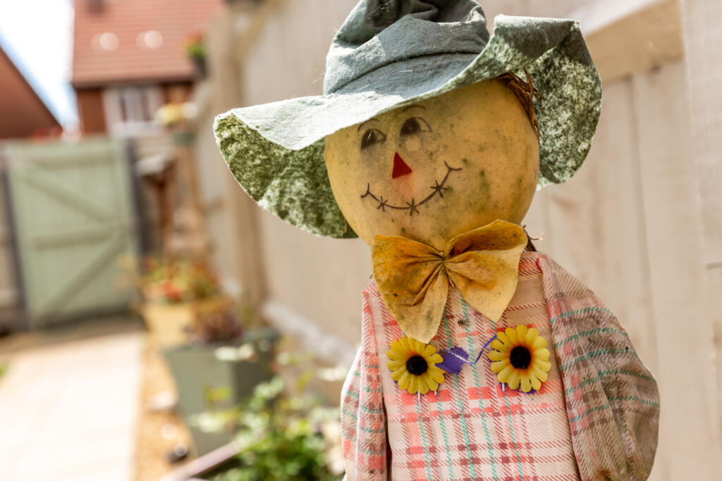 Robinson David Estate Agents 27 Cornflower Way Hig