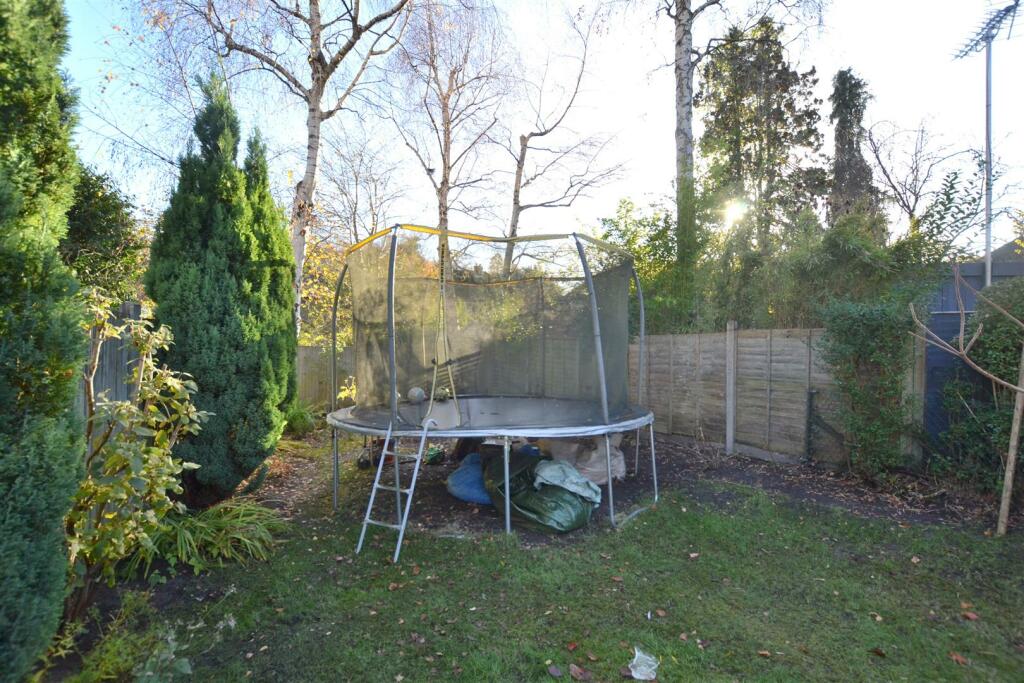 Garden 3.JPG