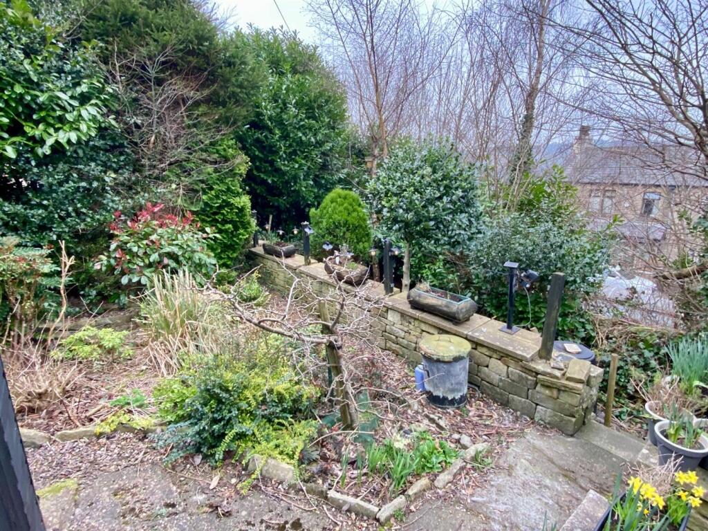 rear garden 1.jpg