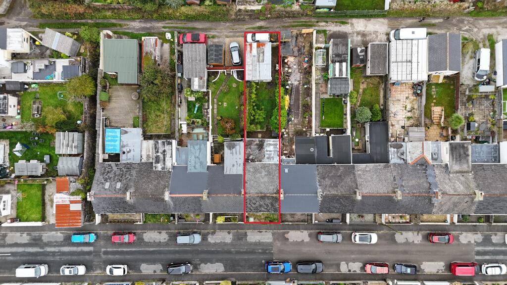 Red Outline T202510151721.jpeg