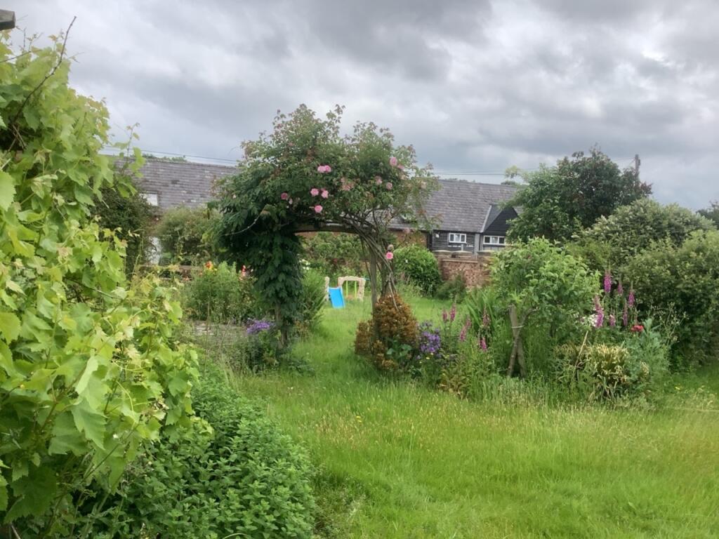 Garden 3
