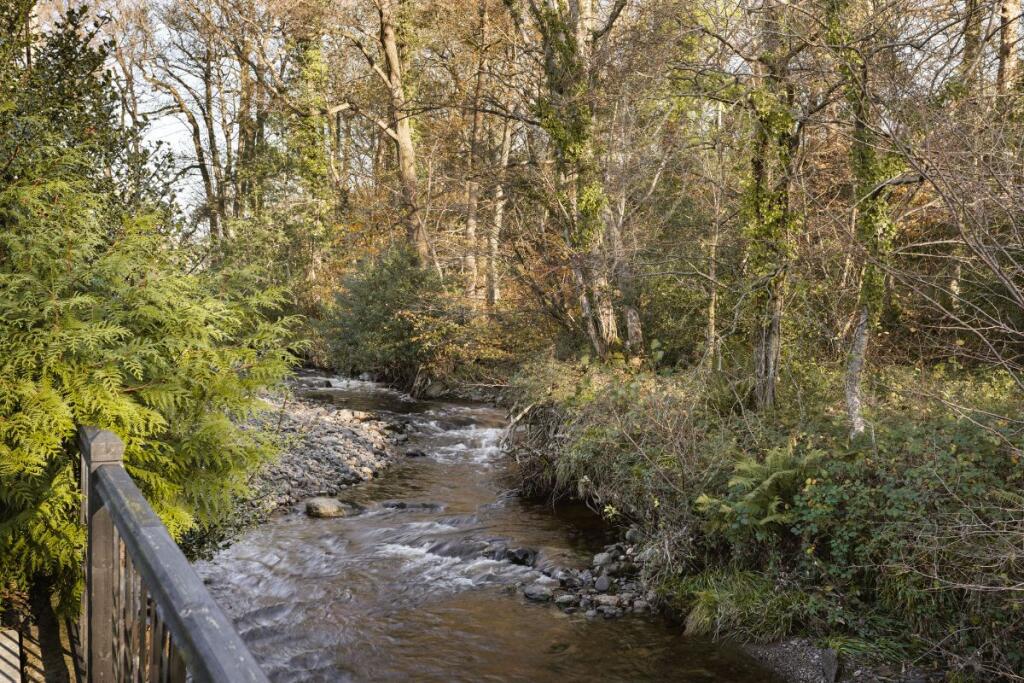 Stream at the bottom of the Garden
