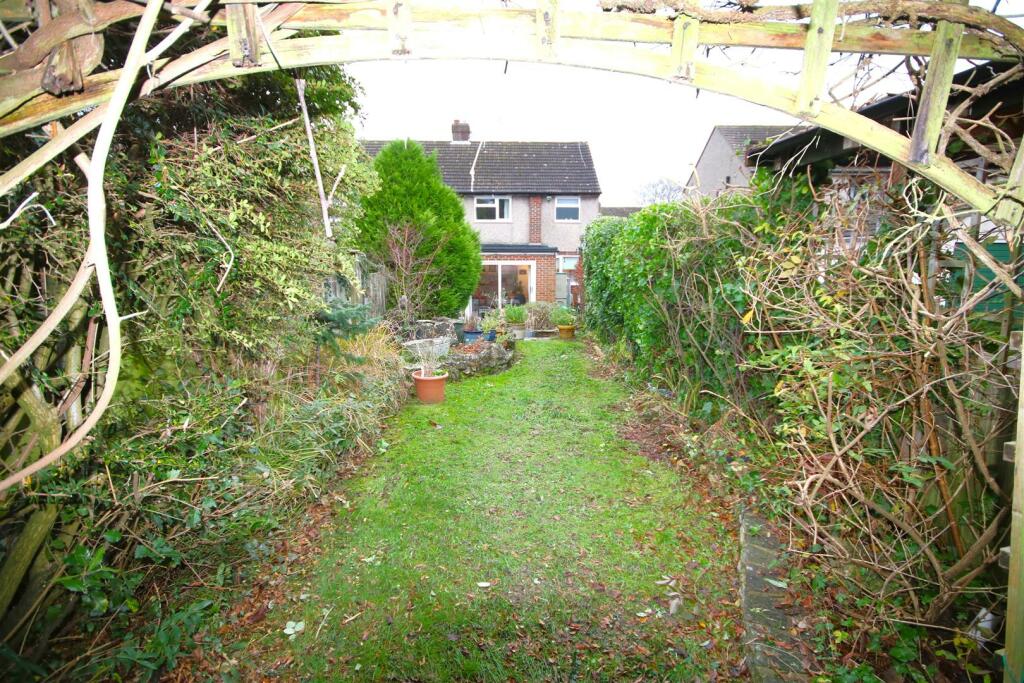 Garden d.JPG