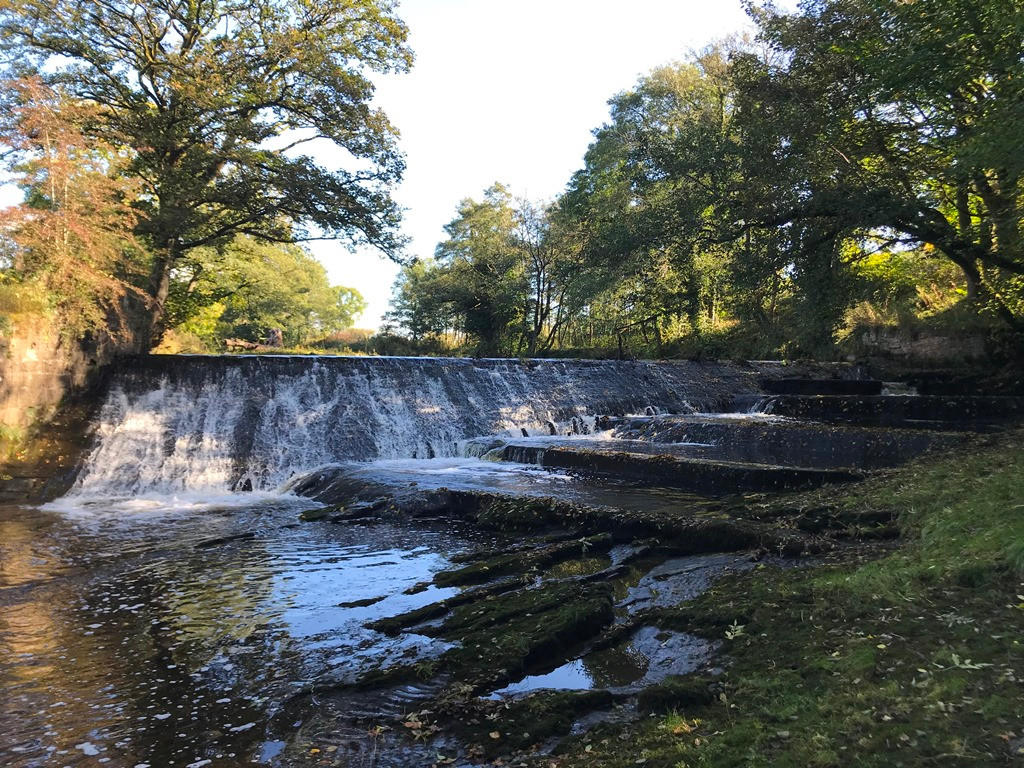 Weir