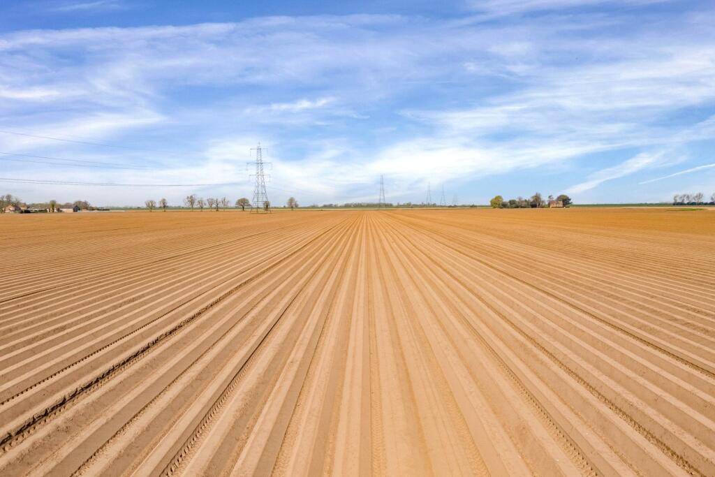 Land