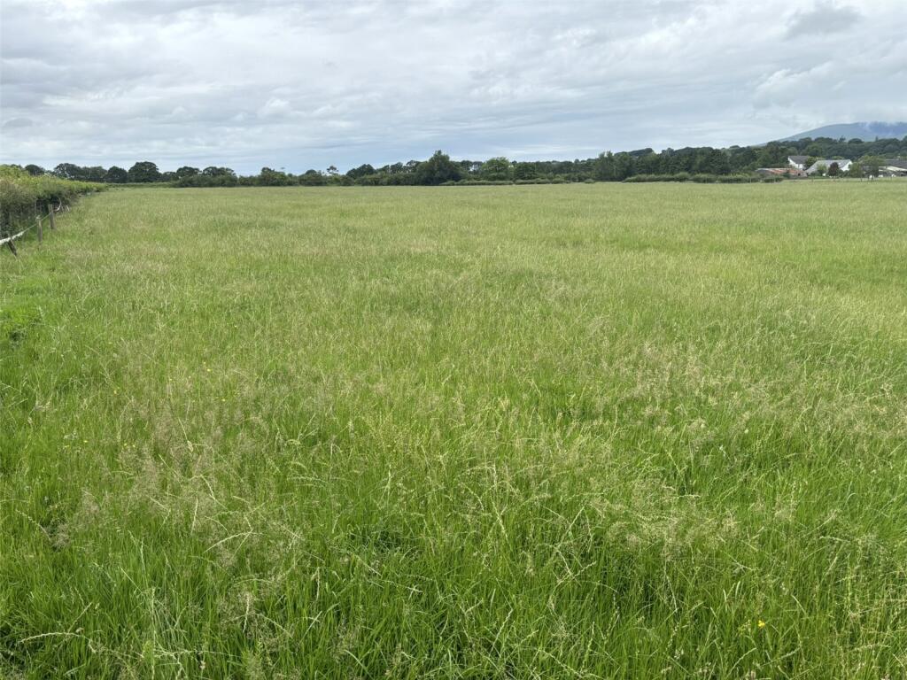 Lot 1