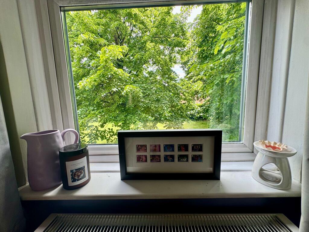 Window View from Lounge