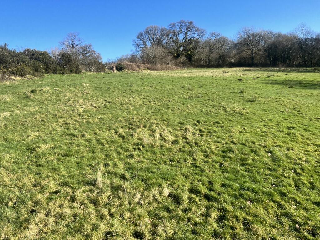 Land