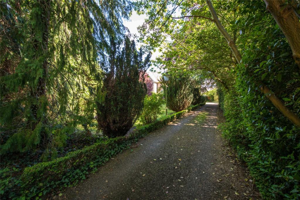 Driveway