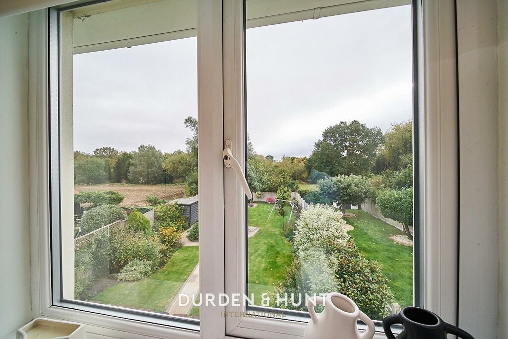 Rodney 38_result.jpg