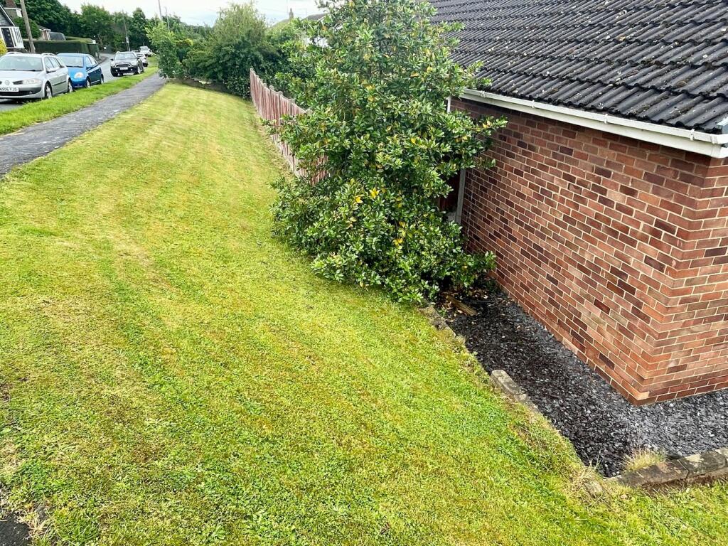 Side Garden