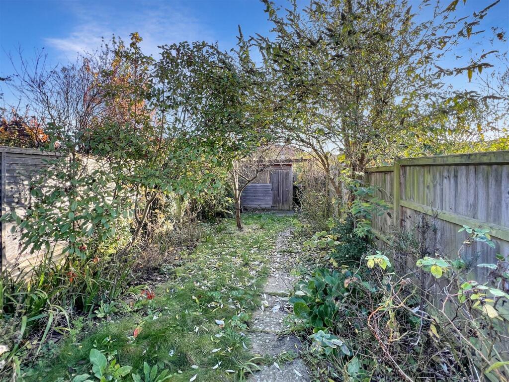 back garden a.jpg