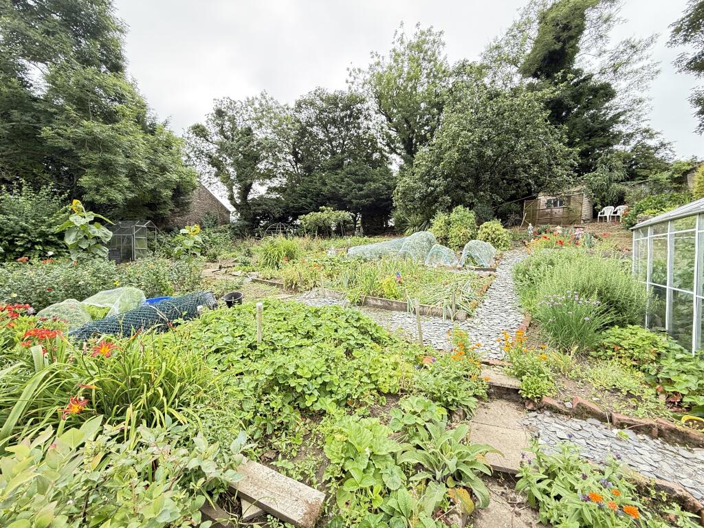 IMG 0909 T202508051135.jpg