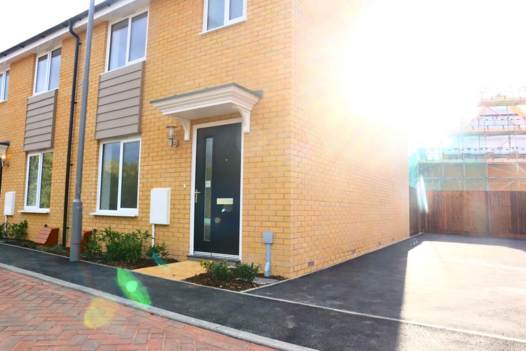 3 Beltex Driveway