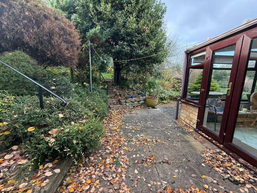 Patio Area